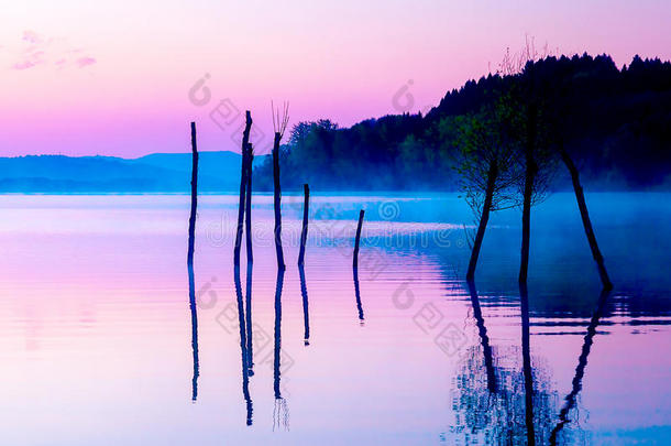 美丽的景观，湖和山在背景和树木在<strong>水中</strong>。 蓝色和紫色的<strong>色调</strong>。