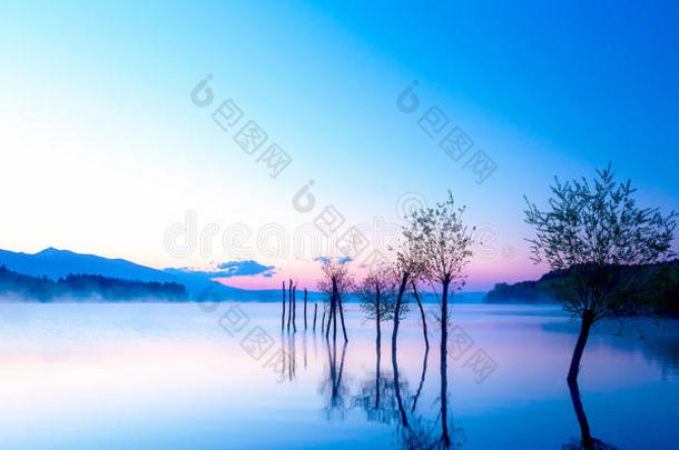 美丽的景观，湖和山在背景和树木在水中。 蓝色和紫色的色调。
