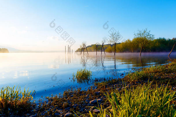 在神奇的早晨时间，带着黎明的阳光，在一个湖泊里，草色的细节。