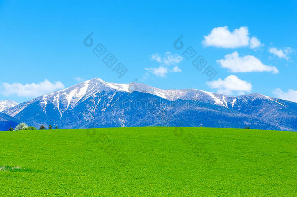 美丽的风景，绿色的草地和雪山。 斯洛伐克，中欧，利普托夫地区。