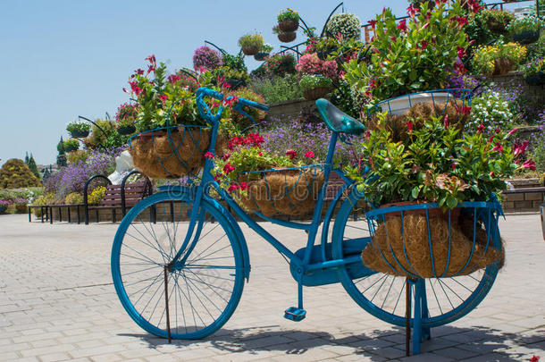 <strong>蓝色大</strong>花盆形状的自行车，里面有红色的花