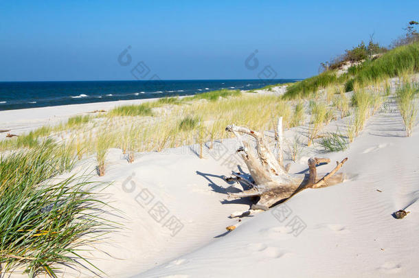 波罗的海的海滩景观。