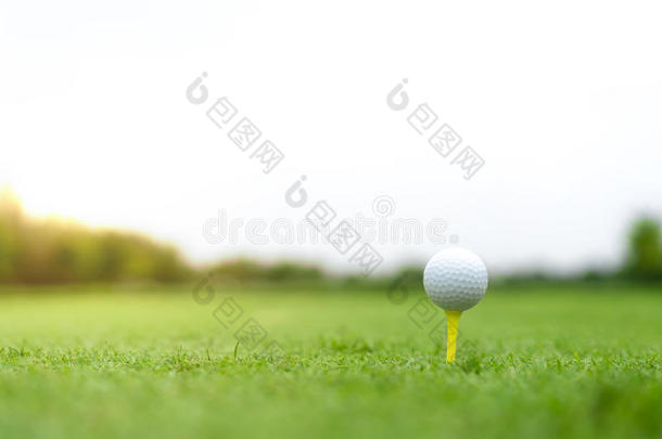 高尔夫球球在发球与裁剪路径，模糊波基高尔夫球场背景与复制空间在天空，金色黄昏日落效果
