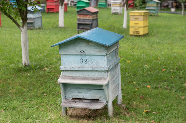 农业养蜂人养蜂场养蜂蜜蜂