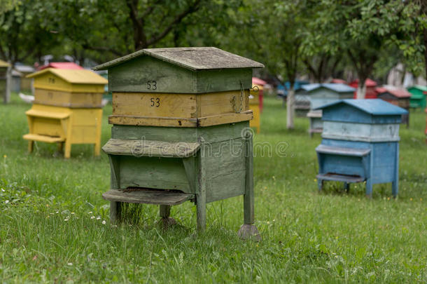 五颜六色的蜂箱。蜂蜜农场里有蜜蜂的蜂箱
