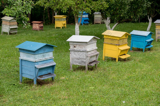 五颜六色的<strong>蜂箱</strong>。蜂蜜农场里有蜜蜂的<strong>蜂箱</strong>