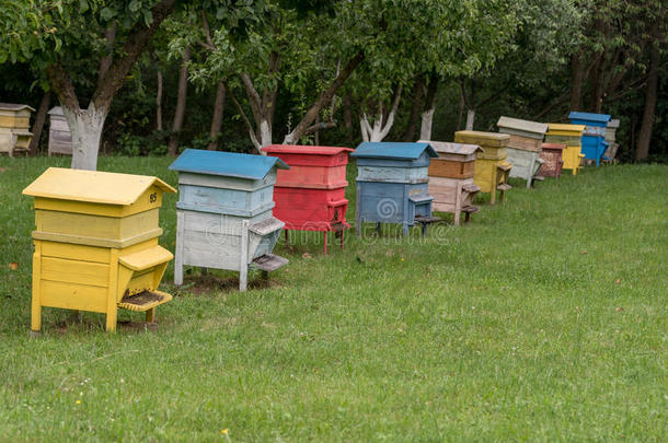 农业养蜂人养蜂场养蜂蜜蜂