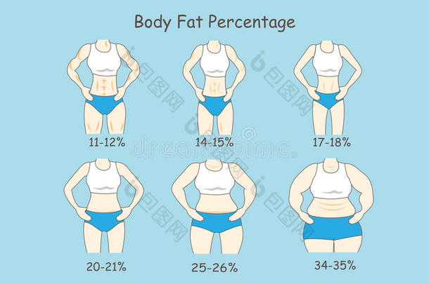 关于身体脂肪百分比的卡通
