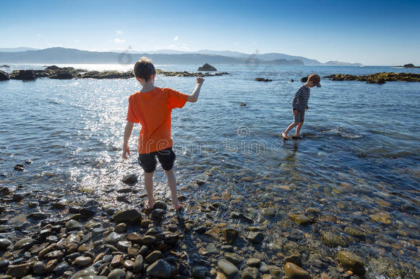 男孩7和男孩9在夏天的早晨在海里划水