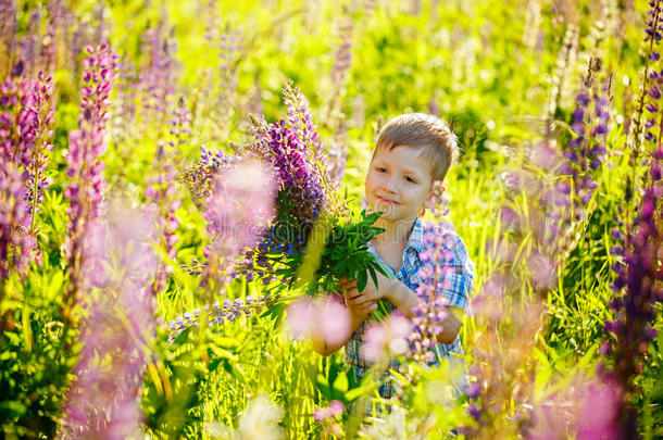 可爱的学龄前儿童在紫罗兰羽扇<strong>豆花</strong>田，抱着一个