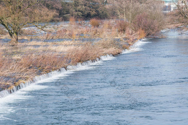 淹没的林地，洪水平原