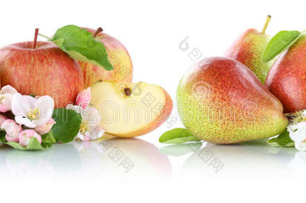 苹果和梨苹果梨果红果片分离在w上