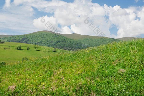 在白云下明亮的早晨，绿草山丘。 美丽的乡村景观