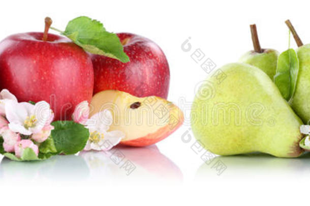 苹果和梨苹果，梨果，红绿色水果片分离物