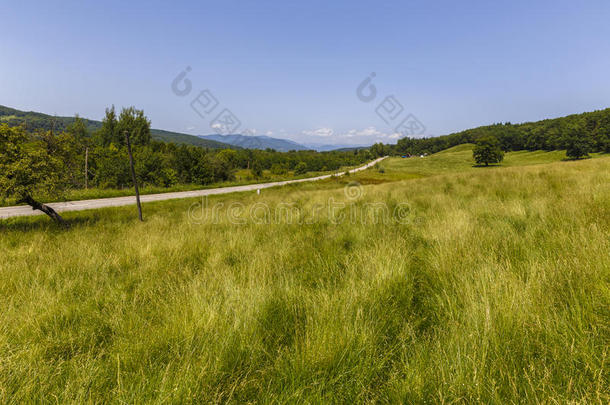 农村的空沥青路，道路的弯道，巴的田野