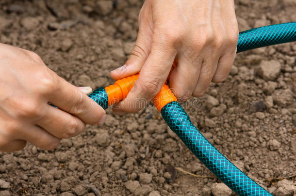 双手连接花园软管进行灌溉，特写