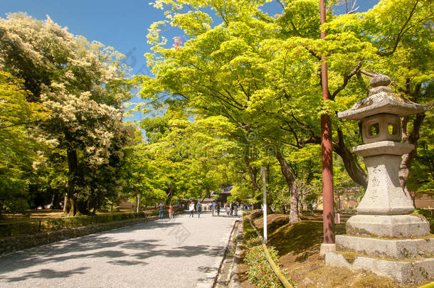 秋天后面花园风景园林<strong>绿化</strong>