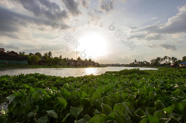 晚阳在ThaChinRivermaenamThaChin，NakhonPathom，泰国