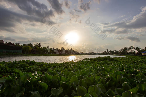 晚阳在ThaChinRivermaenamThaChin，NakhonPathom，泰国