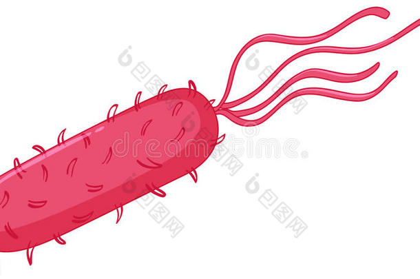 肠道中粉红色的细菌