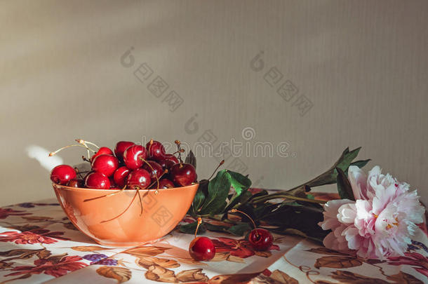 精美的艺术，静物构图与清新的粉红色牡丹花，红色的玛萨拉樱桃在桌子上，复古的桌布