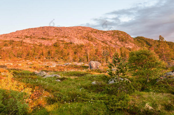 美丽的挪威山谷全景，位于挪威Lysefjord海岸