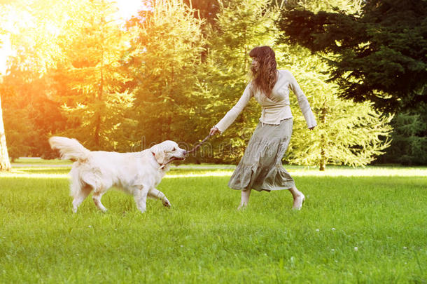 狗训练。 在公园里玩猎犬的女孩。 女人在背景上散步，夏天风景。 快乐的夏天