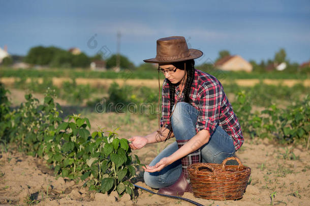 树莓种植园的农民女孩