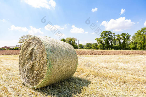 农业的景观。收获夏天用稻草包的地。