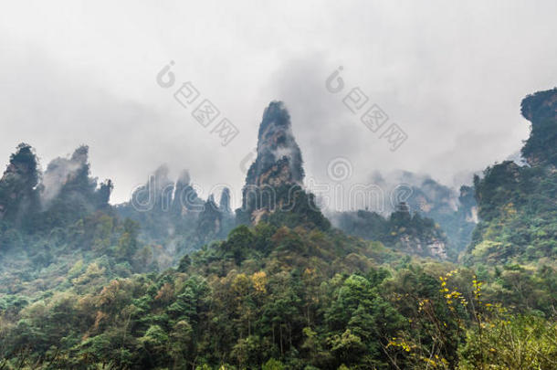 亚洲瓷器多云的乡村雾