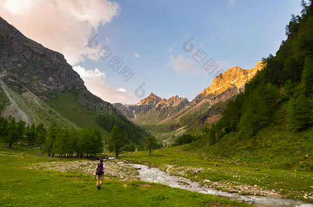 在田园风光中徒步旅行的背包客。夏季冒险和探索阿尔卑斯山。流经盛开的草地和