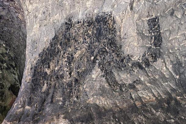 砂岩洞穴的<strong>儿童艺术</strong>。 黑色碳猛犸涂料