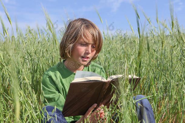 孩子们在户外阅读书籍或圣经。
