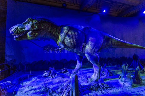 动物恐龙展示在自然<strong>历史</strong>博物馆，伦敦