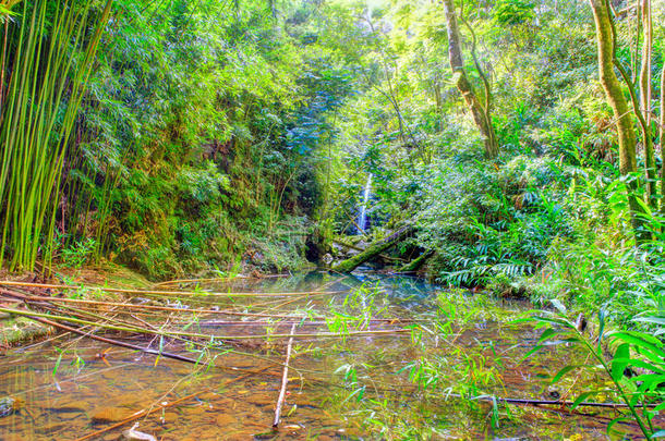 白天绿色<strong>刺耳</strong>的<strong>声音</strong>湖风景