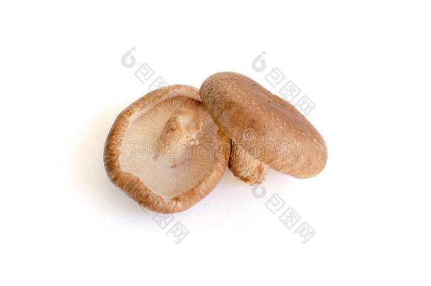 棕色香菇