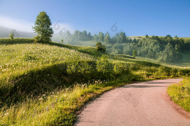 朦胧的风景