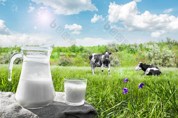 玻璃罐与牛奶和玻璃在<strong>草地</strong>上的背景下，<strong>风景</strong>如画的绿色<strong>草地</strong>与鲜花