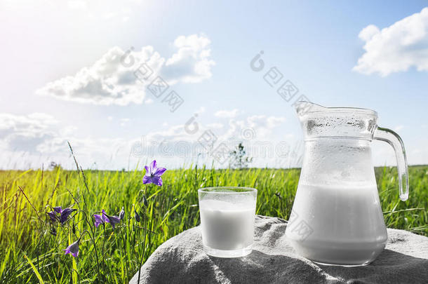 玻璃罐与牛奶和玻璃在<strong>草地</strong>上的背景下，<strong>风景</strong>如画的绿色<strong>草地</strong>与鲜花在晴朗的夏季达