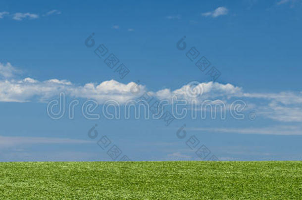 绿地景观背景与蓝天