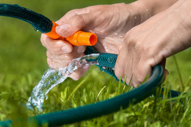 双手连接花园软管进行灌溉