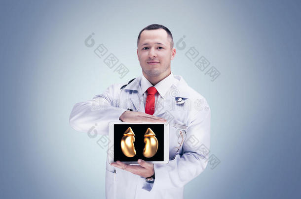 医生拿着金色的<strong>人体器官</strong>在平板上的灰色背景。 高分辨率。