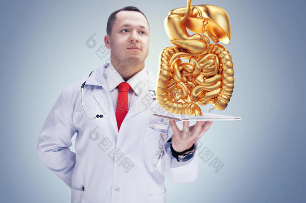 医生拿着金色的<strong>人体器官</strong>在平板上的灰色背景。 高分辨率。