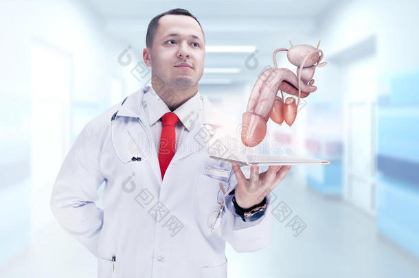 医生把<strong>人体器官</strong>放在药片上。 高分辨率。
