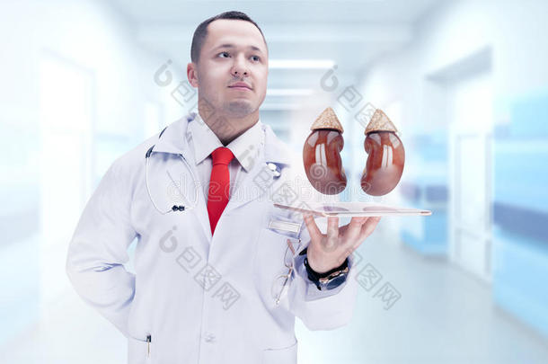 医生把人体器官放在药片上。 高分辨率。
