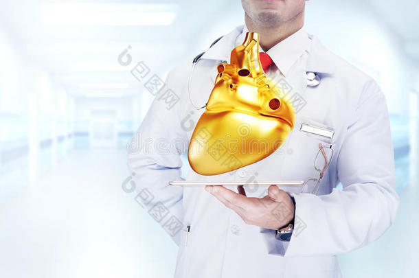 医生在药片上拿着金色的<strong>人体器官</strong>。 高分辨率。