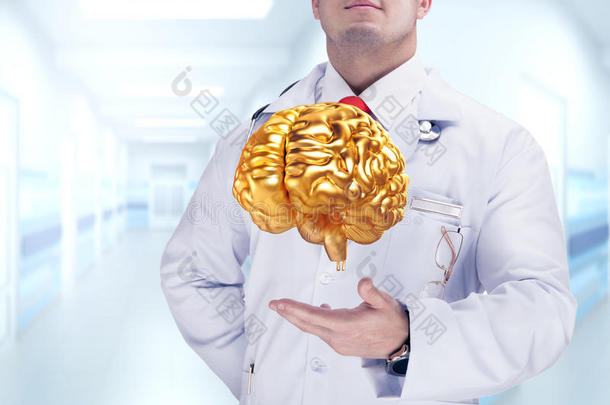 医生把金色的人体器官放在医院的手上。 高分辨率。