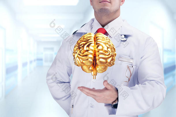 医生把金色的<strong>人体器官</strong>放在医院的手上。 高分辨率。