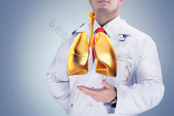 医生拿着金色的<strong>人体器官</strong>在灰色的背景上。 高分辨率。