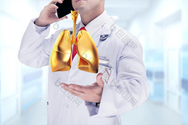 医生拿着金色的人体器官打电话